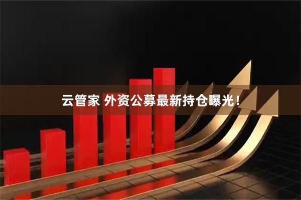 云管家 外资公募最新持仓曝光！